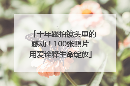 十年跟拍镜头里的感动！100张照片用爱诠释生命绽放